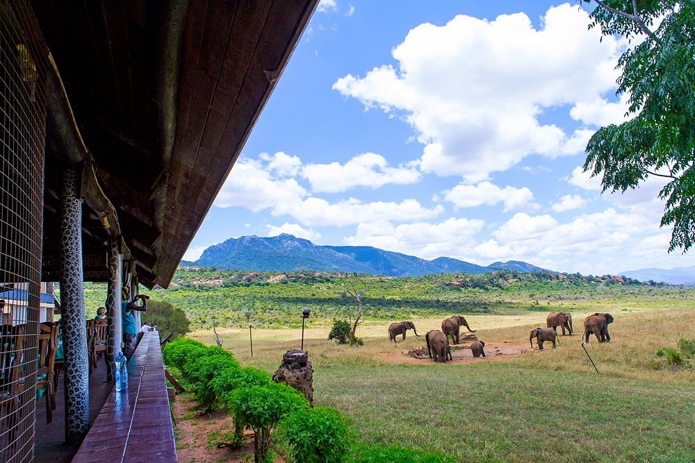Ngulia Safari Lodge gallery 5